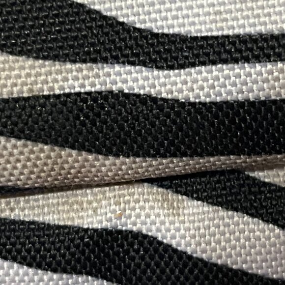 Jansport Zebra print backpack - Picture 15 of 16